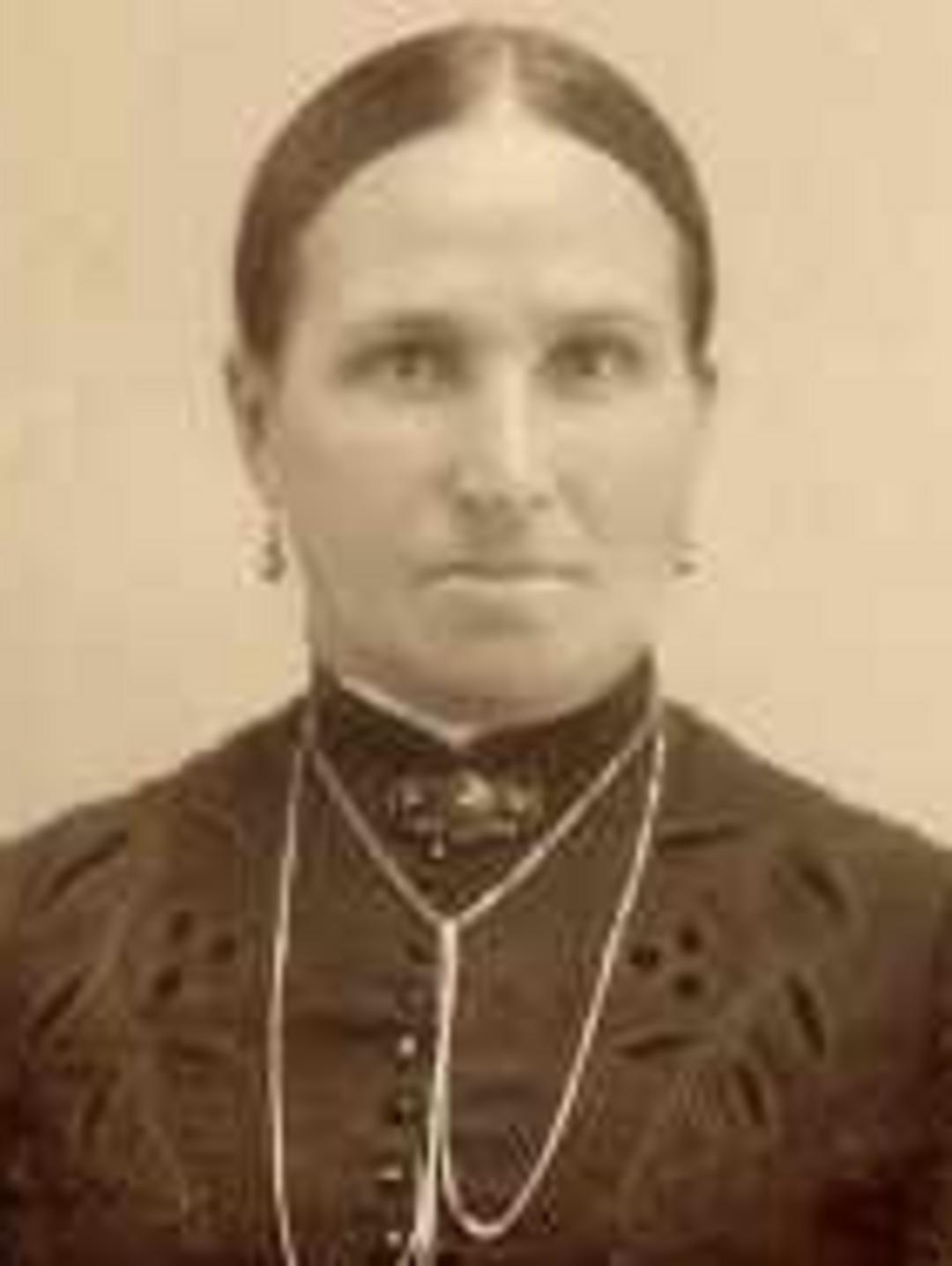 Harriet Fidelia Johnson (1837 - 1919) Profile